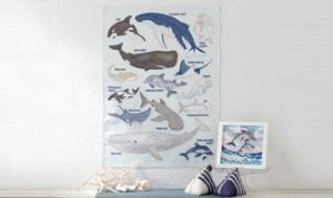 手芸キット | ホビーラホビーレ