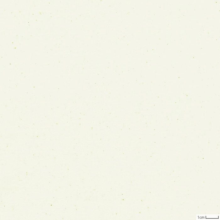 生地 40コンパス（ノリヌキ）