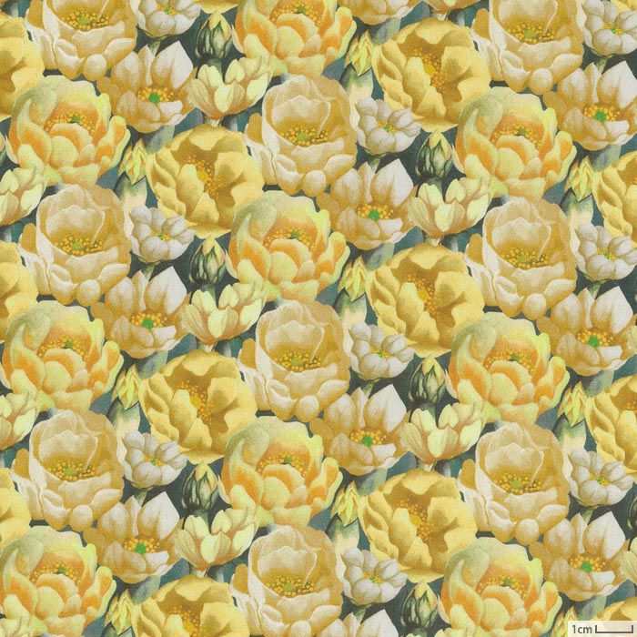 生地 リバティプリント（リバティ社）2021SS プレイリー＜1A＞