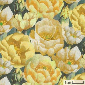 生地 リバティプリント（リバティ社）2021SS プレイリー＜1A＞