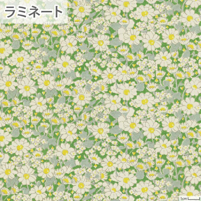 リバティプリント アリスW＜05B＞生地 （ホビーラホビーレオリジナル