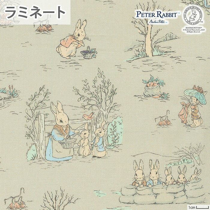 シーチング ピーターラビット（TM）となかまたち＜01BE＞生地 ホビーラ