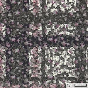 リバティプリント コバイン＜13GR＞生地 （ホビーラホビーレオリジナル