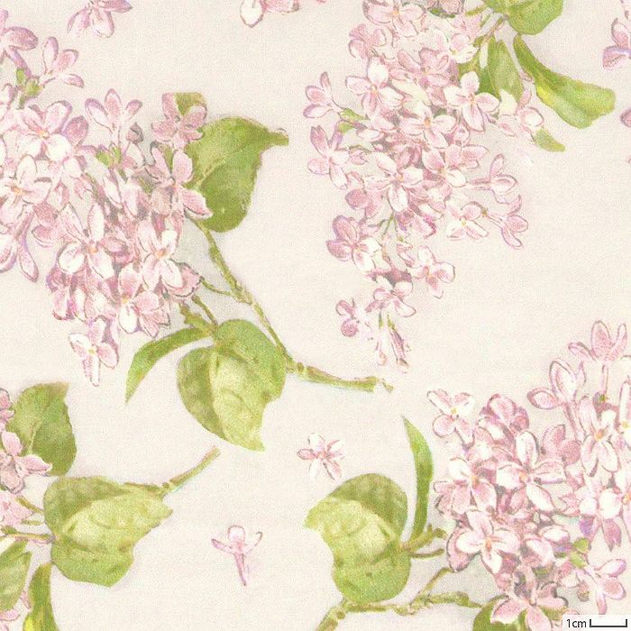 000000048949-01.jpg?size=m&w=