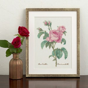 美しき薔薇の世界 ～ルドゥーテ～