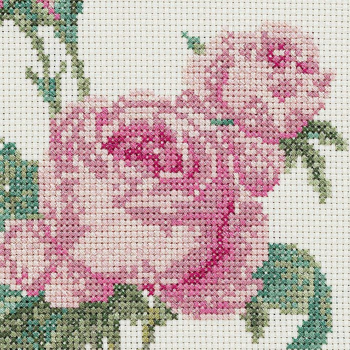 クロスステッチフレーム＜ロサ・ケンティフォリア（ピエール＝ジョゼフ