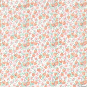 リバティプリント アシュテッド＜18OR＞生地 （ホビーラホビーレオリジナル）2026SS